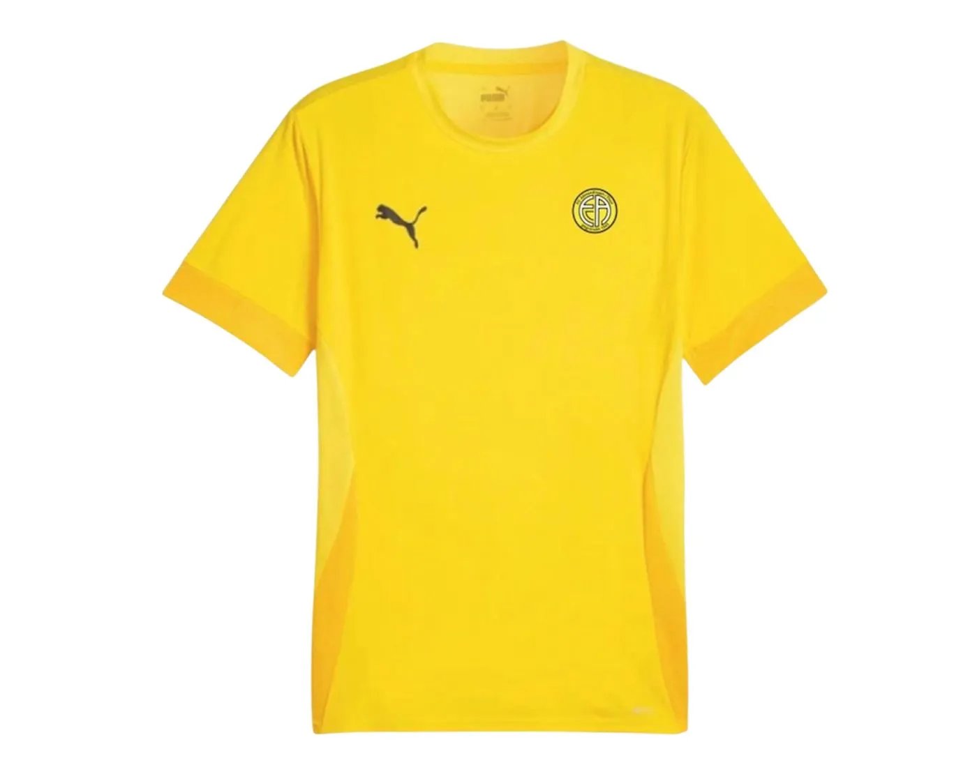 TEAMGOAL 23 Training Jersey